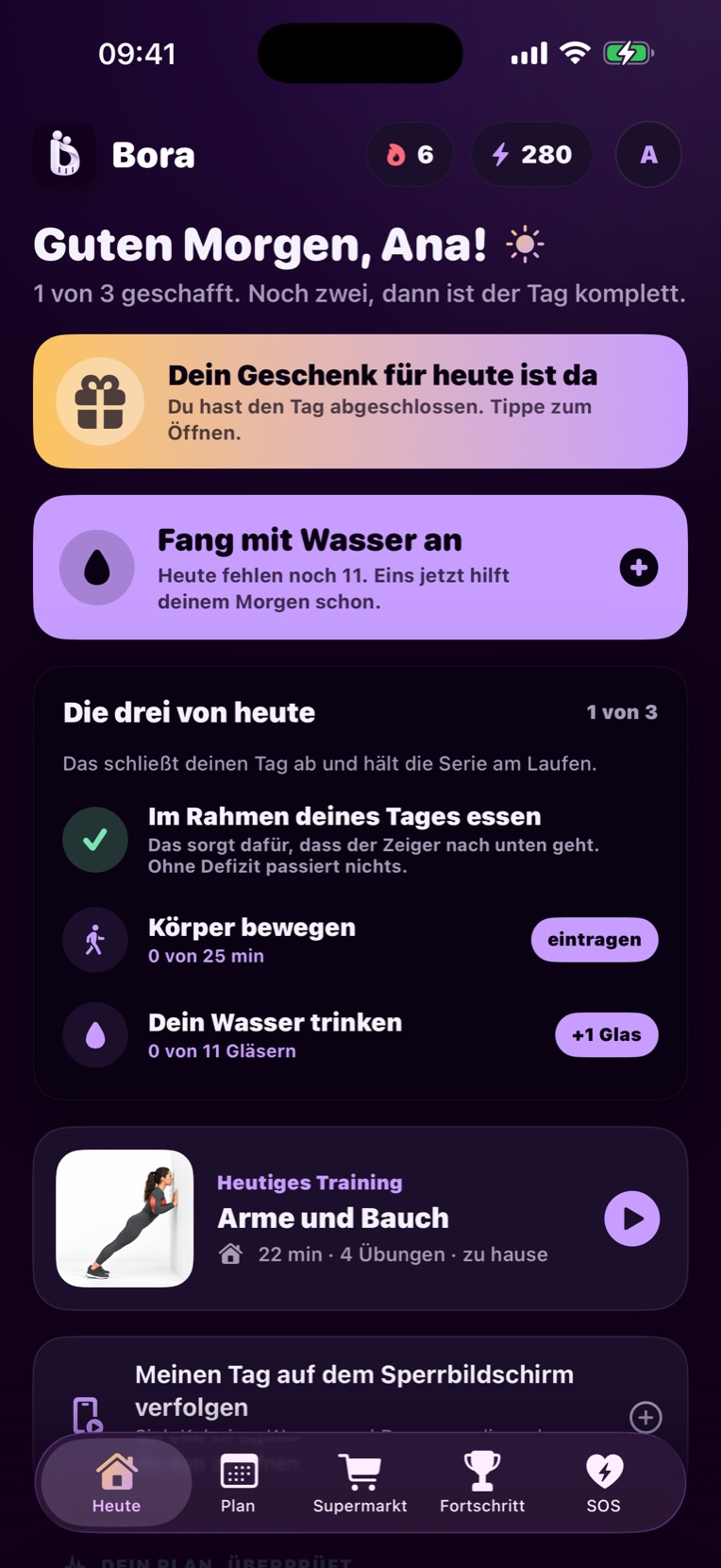 Bora-Bildschirme: die drei von heute, Tellerfoto, KI-Trainerin und Training